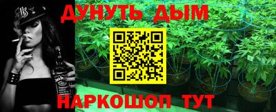 дурь Кингисепп