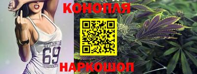 гидра Камышлов