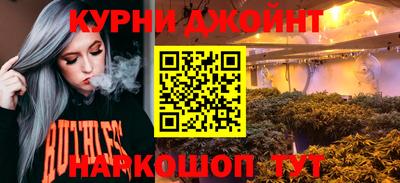 гидра Камышлов