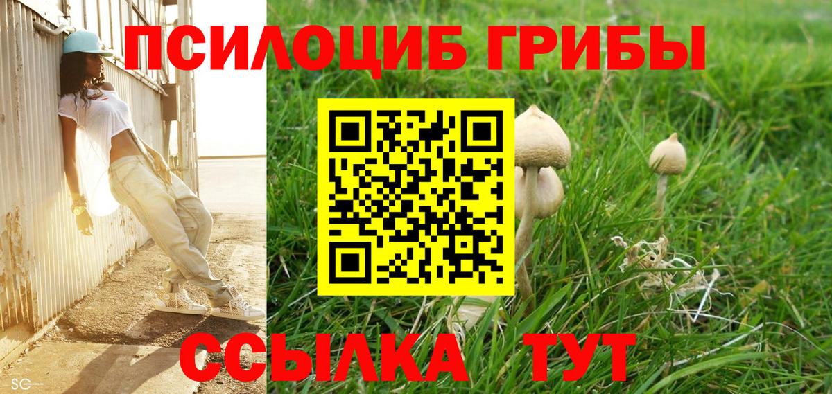 Конаково  Галлюциногенные грибы прущие грибы  Вход с VPN 