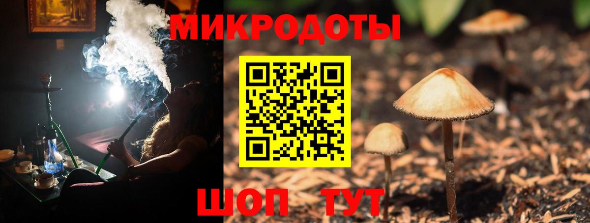 Псилоцибиновые грибы GOLDEN TEACHER Конаково